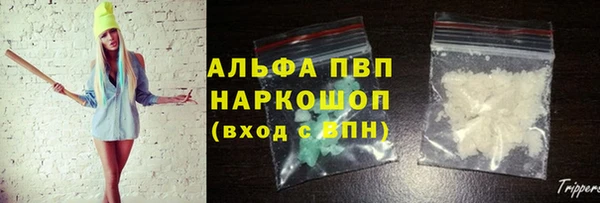 PSILOCYBIN Богданович