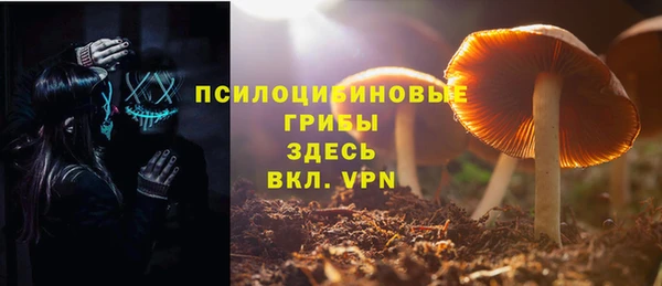 PSILOCYBIN Богданович