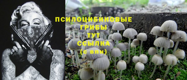 PSILOCYBIN Богданович