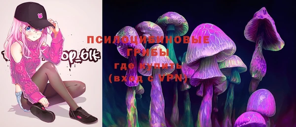 PSILOCYBIN Богородск